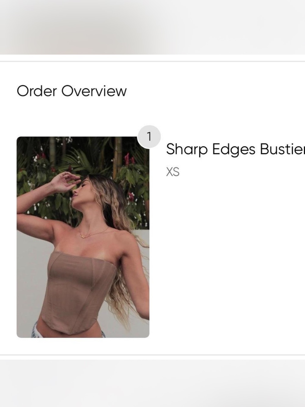 🍨🤎 White Fox Boutique 'Sharp Edges' Bustier